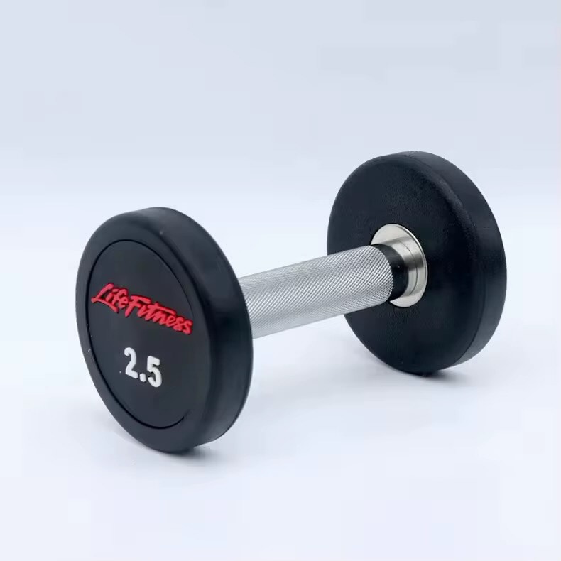 Pesha dumbbell profesionale 2.5 deri 25 kg – Paisje.Sportive (2)