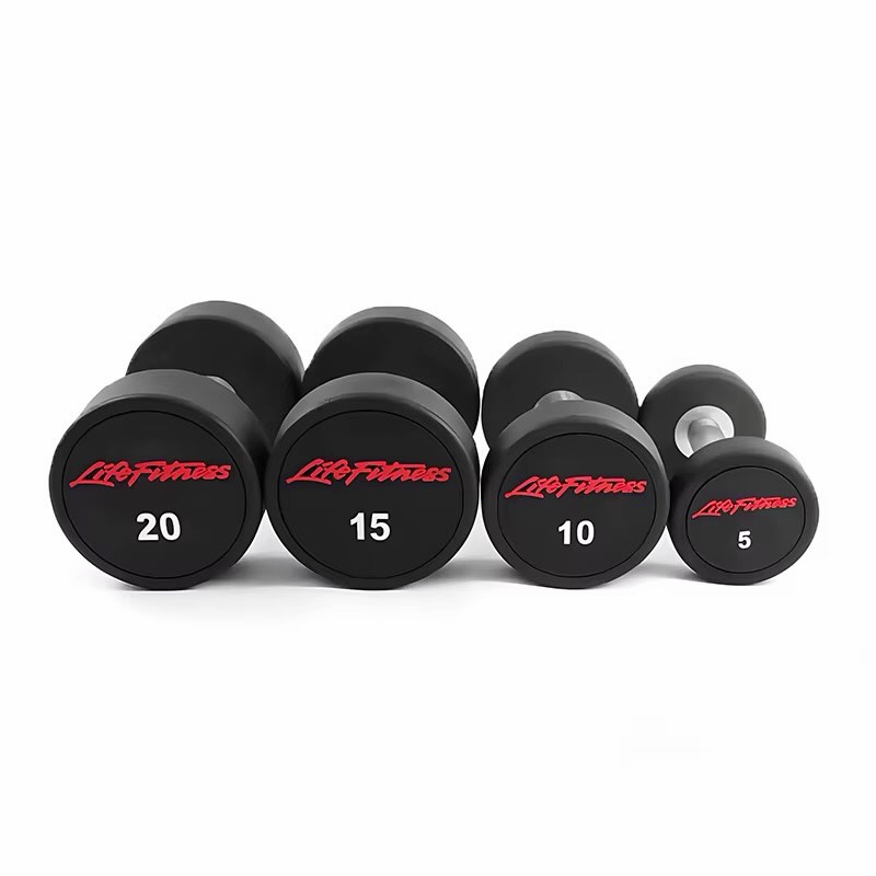 Pesha dumbbell profesionale 2.5 deri 25 kg – Paisje.Sportive (4)
