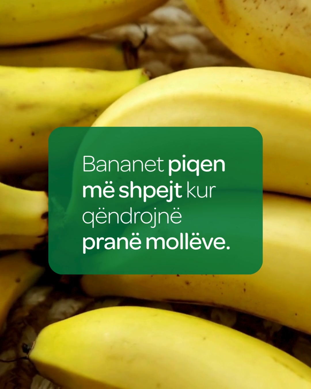 Fruta dhe perime të freskëta – SPAR Kosova (2)