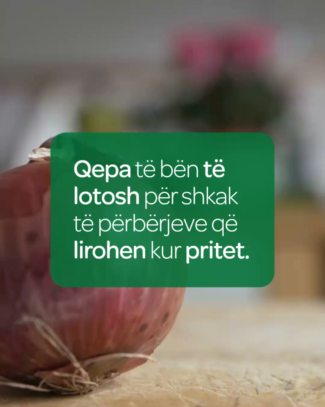 Fruta dhe perime të freskëta – SPAR Kosova (4)