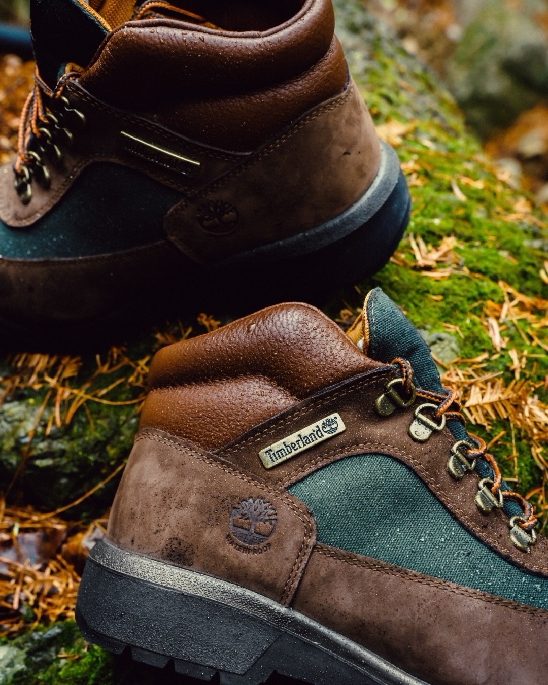 Çizme hikingu Timberland kafe me jeshile – Timberland Kosova