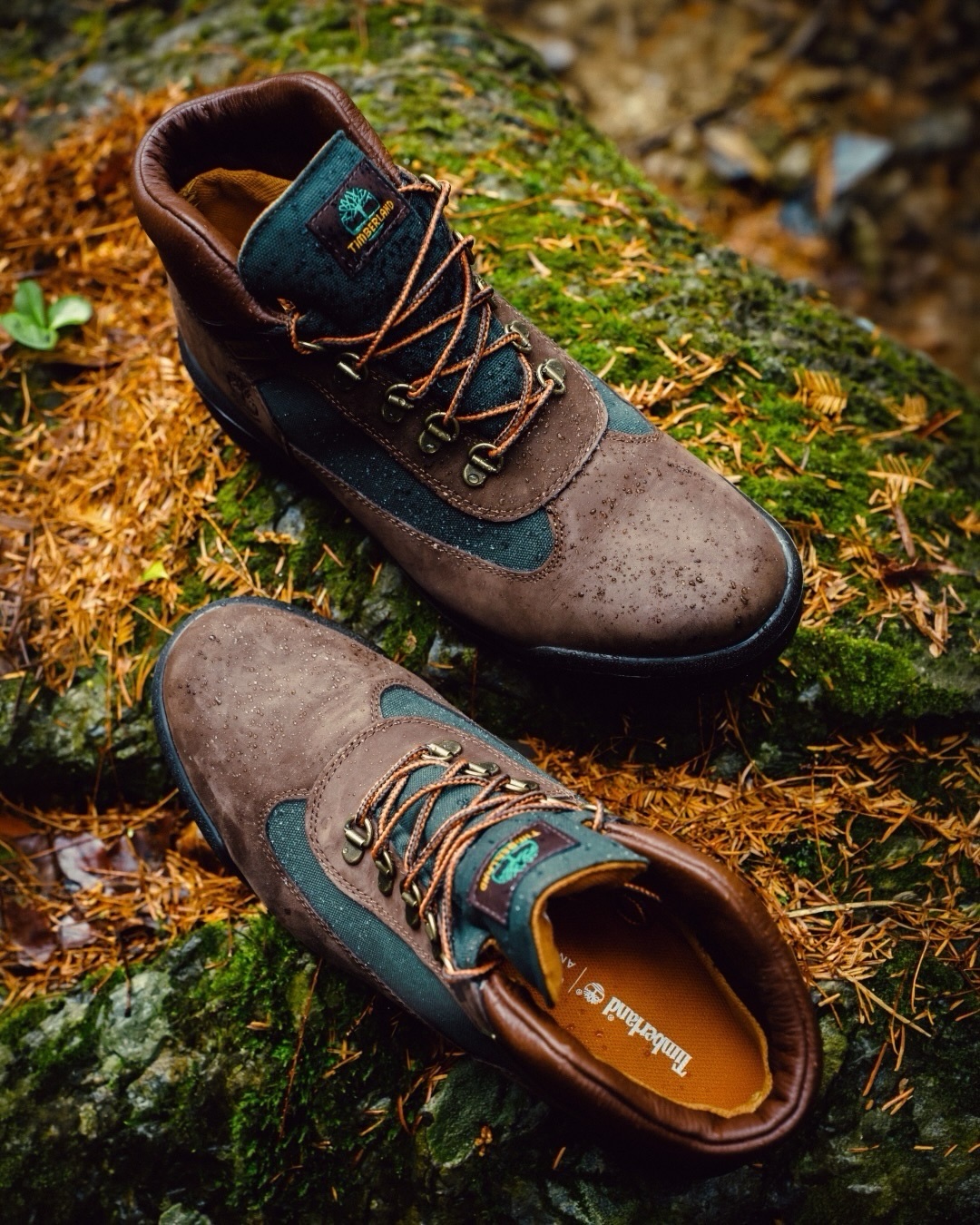 Çizme hikingu Timberland kafe me jeshile – Timberland Kosova (2)
