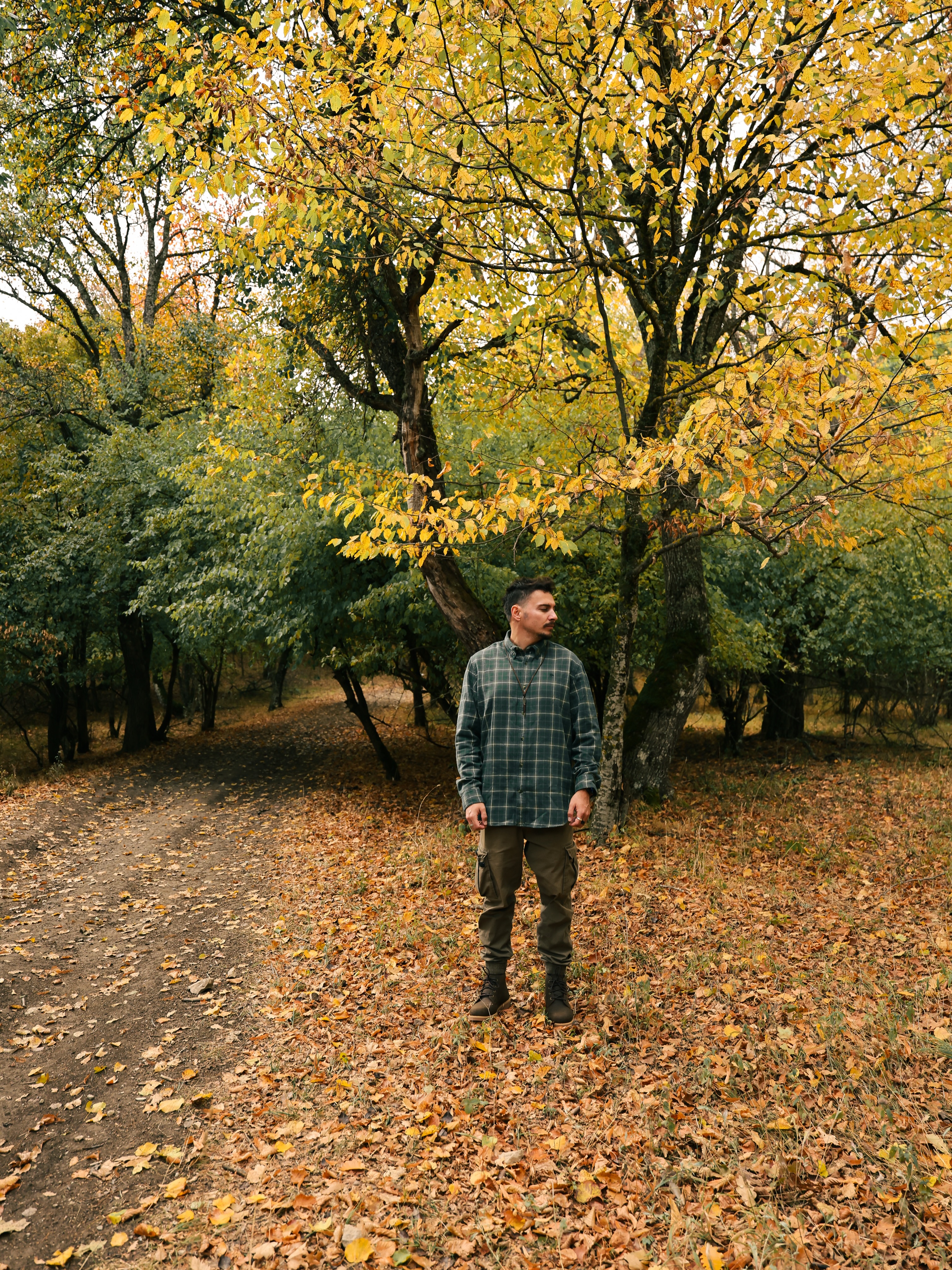 Këmishë Timberland me kuadrate të gjelbra – Timberland Kosova (4)