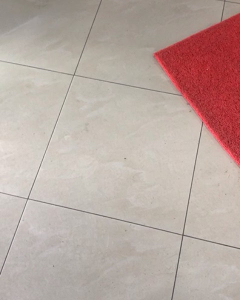 Pllaka dyshemeje gri dhe tapet i kuq – Tori Market Lipjan