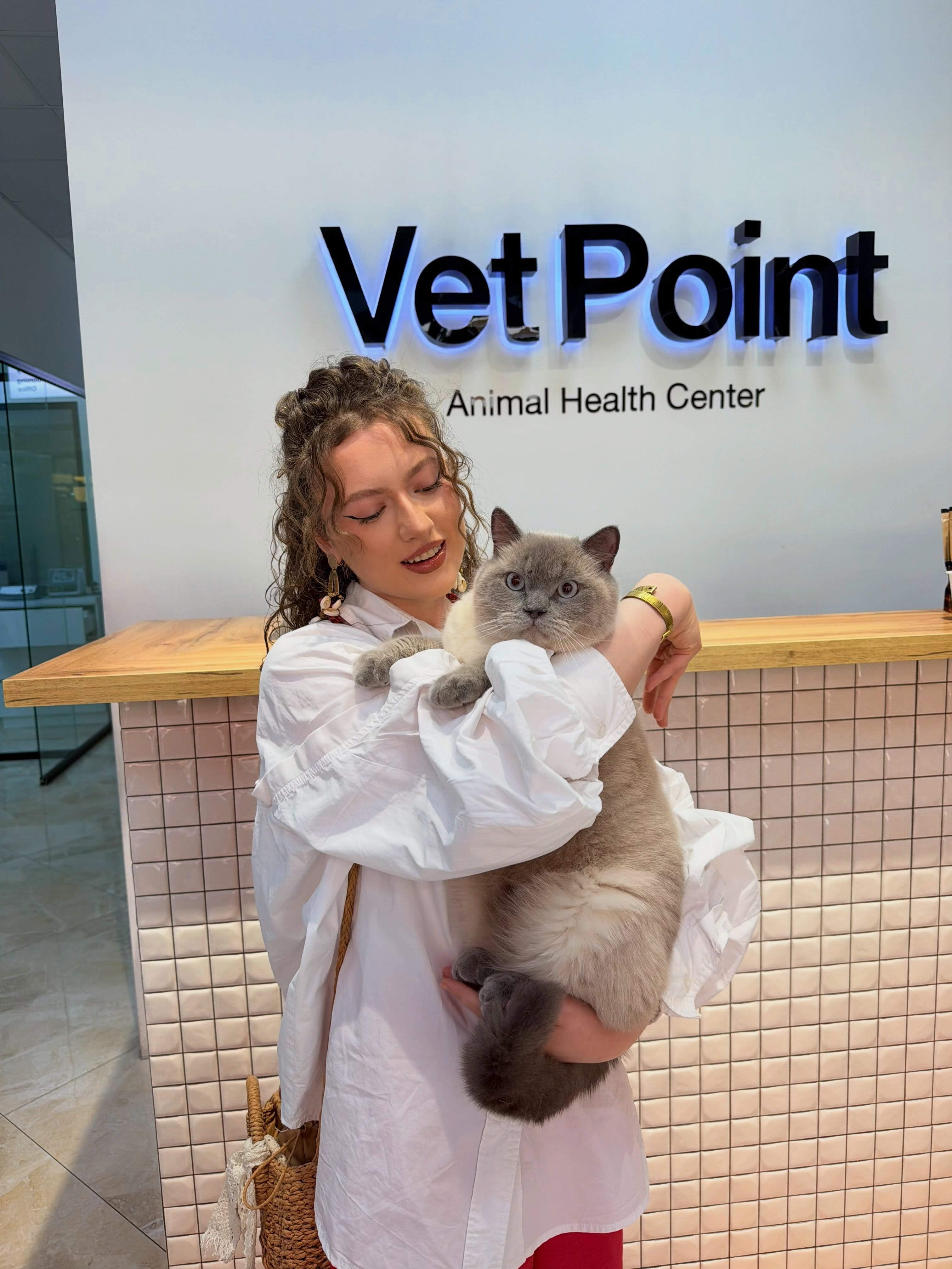Kujdes veterinar për mace – Vet Point Prishtina