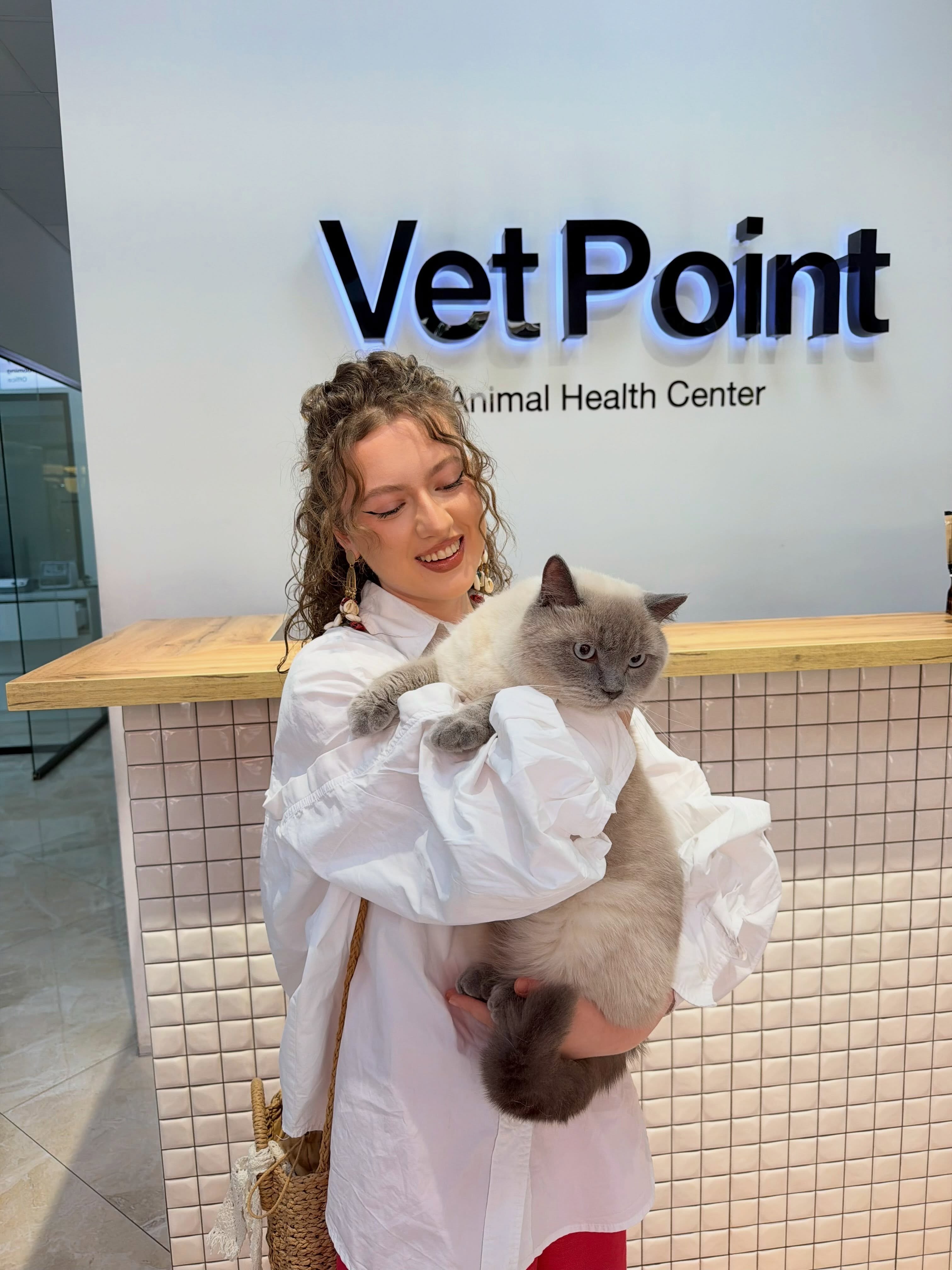 Kujdes veterinar për mace – Vet Point Prishtina (2)