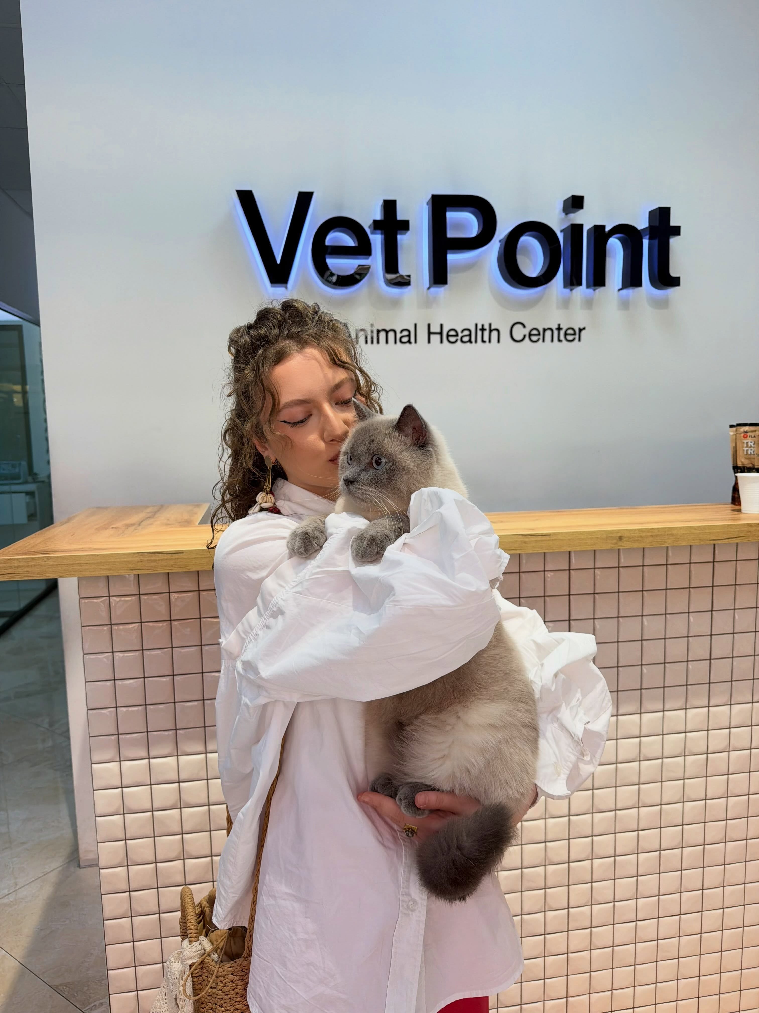 Kujdes veterinar për mace – Vet Point Prishtina (3)