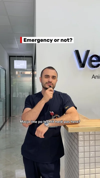Këshilla veterinare për raste emergjente