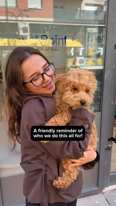 Kujdes veterinar për qen