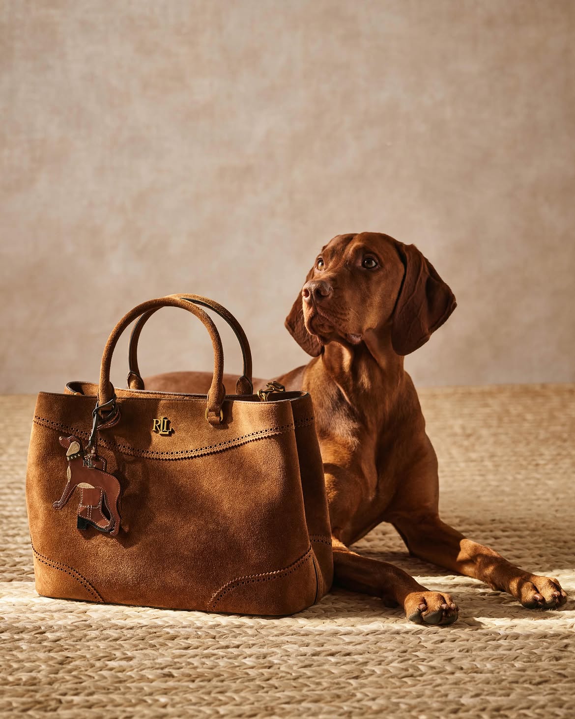 Çantë dore kafe kamoshi Ralph Lauren – Shop the best designer brands!