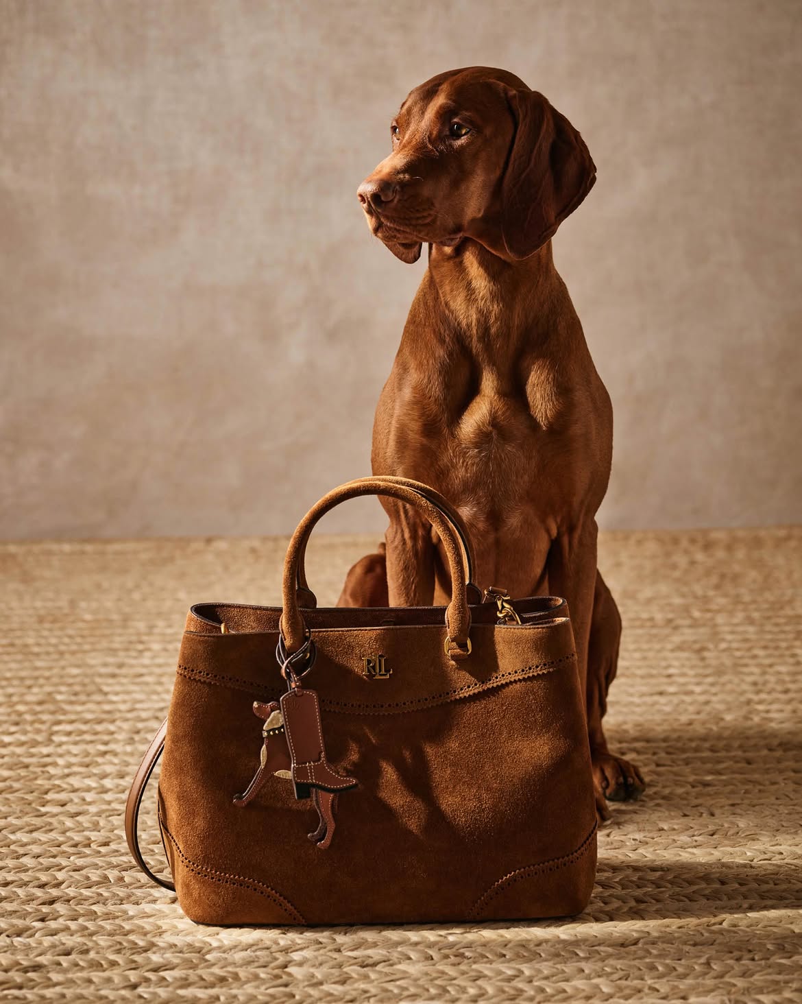 Çantë dore kafe kamoshi Ralph Lauren – Shop the best designer brands! (2)
